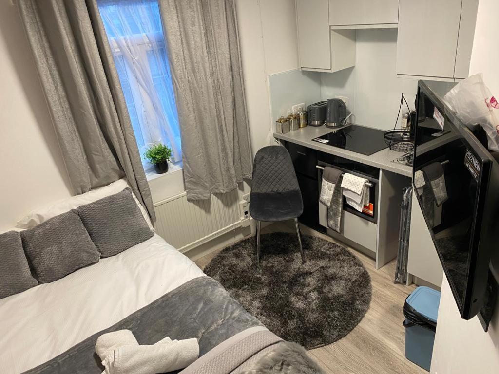 לונדון Small But Cozy Studio, Great Tube Connection מראה חיצוני תמונה
